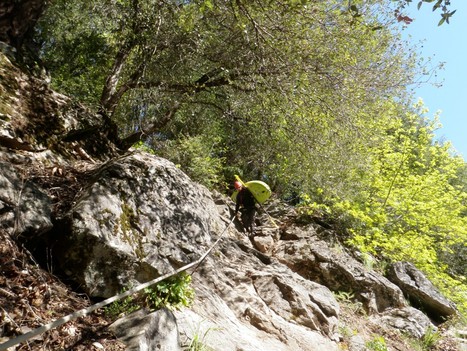 Rivers For Change: Kayaking the Upper Sacramento, Box Canyon to Dog Creek