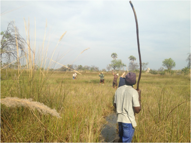 #Okavango14: Elephants in Camp