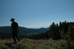 Tracking Bears with Citizen Scientists – It’s as Fun as It Sounds
