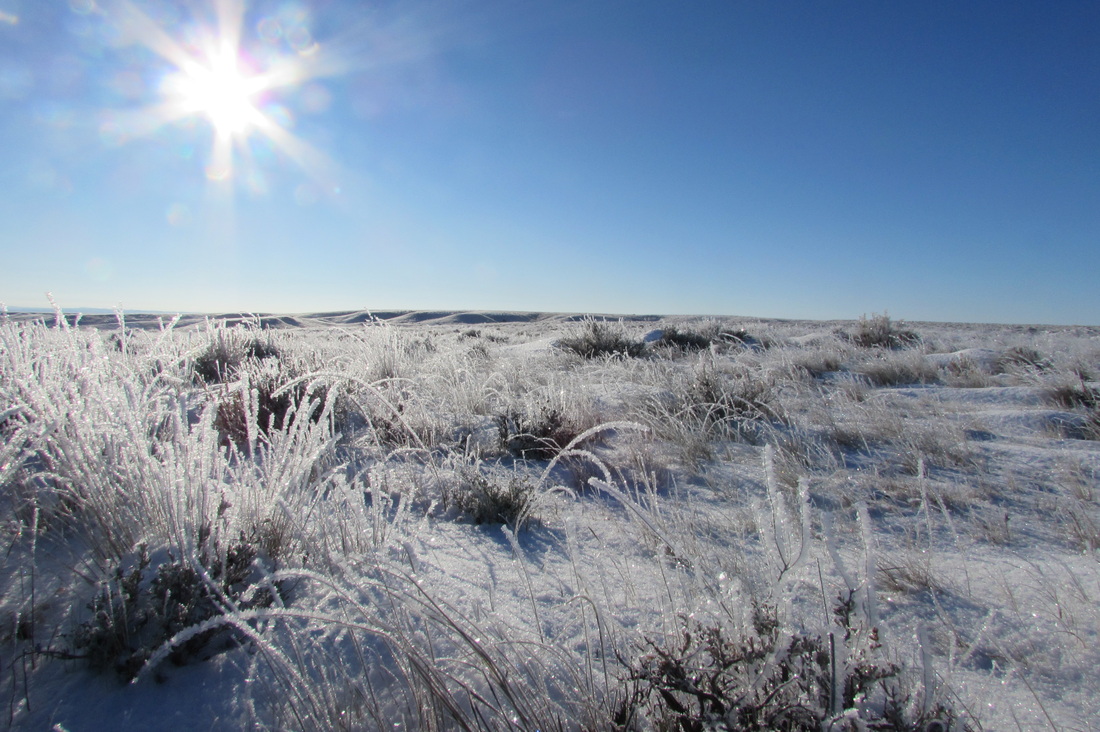 Silence and Wind on the Prairie 