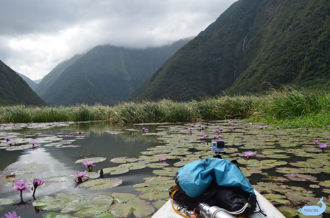 Looking for Microplastics in the Big Island Backcountry