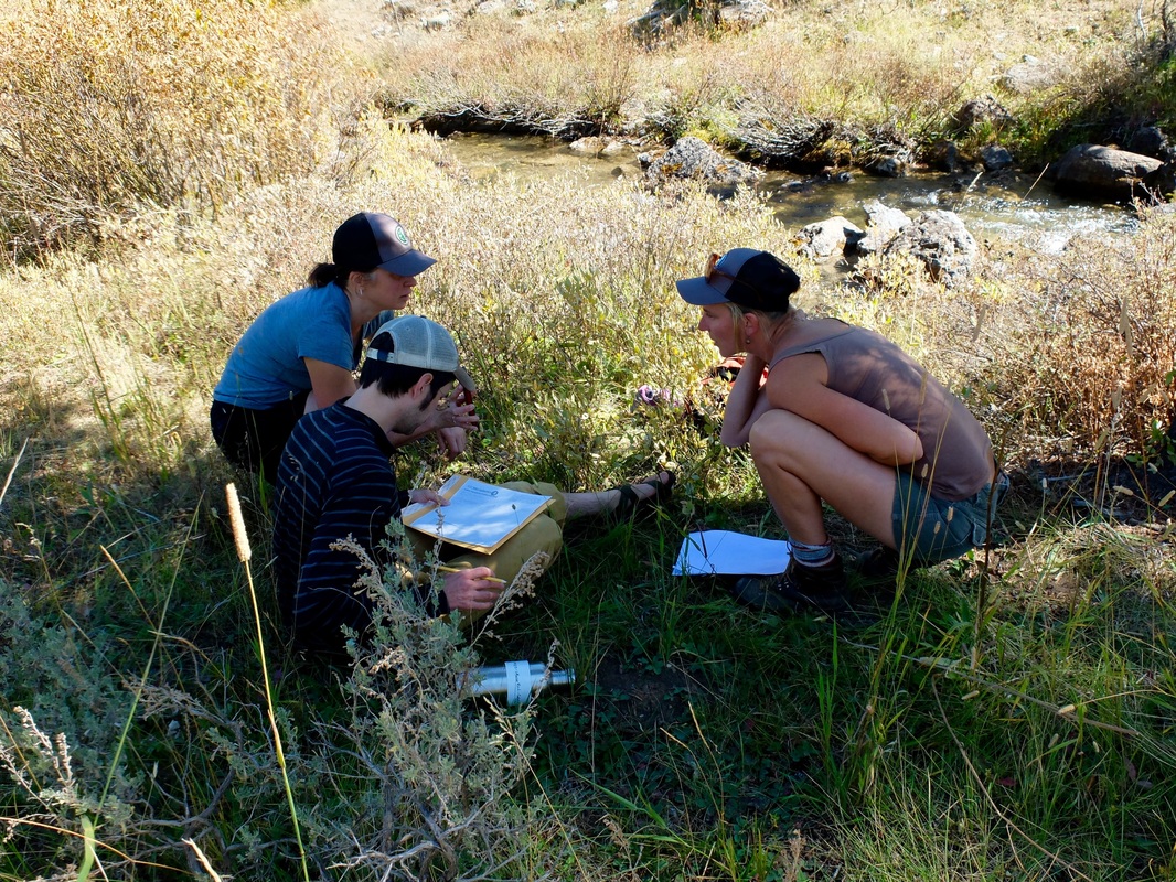 ASC volunteers learn protocols from scientist Abby Barrows during the Gallatin Microplastics Initiative training