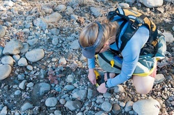 12 California Rivers Campaign to Collect Data for ASC – Kayaking for Science