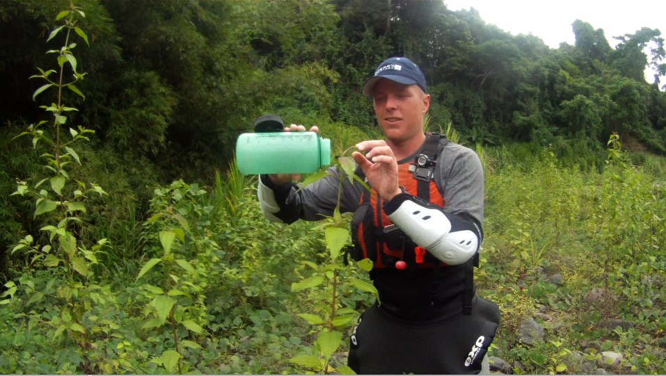 Collecting Beetles in Cameroon