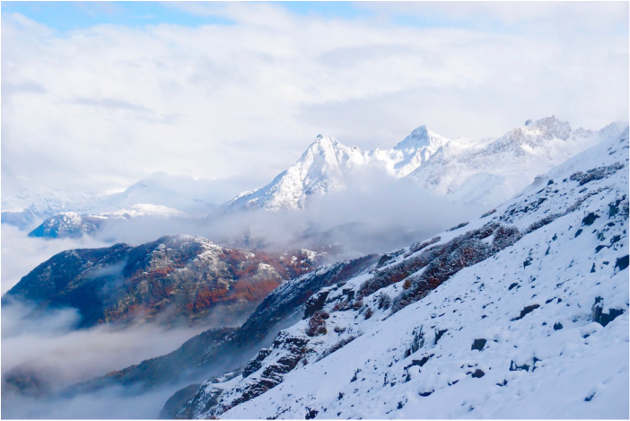 Mountains, Mice and Mate Herb: Collecting Scat in Patagonia