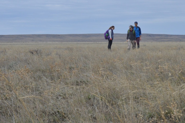 Dancing Across the Prairie for Swift Fox