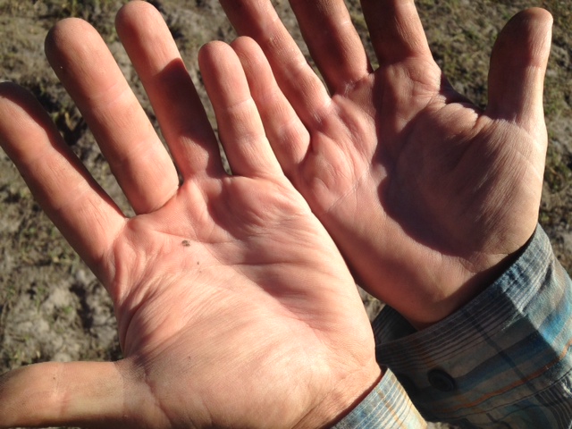 #Okavango14: Leaving the Delta