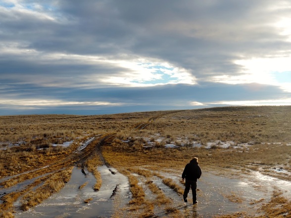 Prairie Play-by-Play: A Day in the Landmark Life