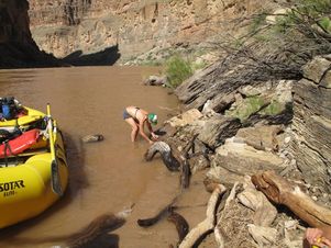 Boater collects data on Diatoms for researcher Sarah Spaulding