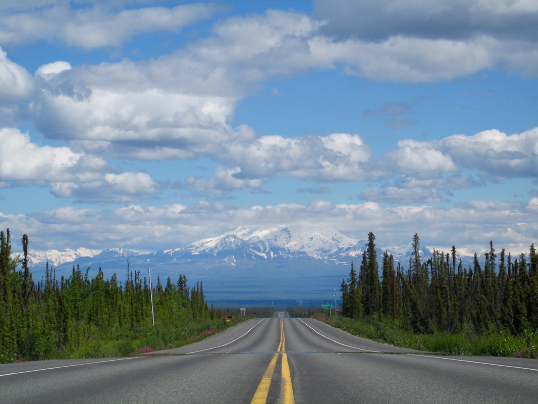 Moose Roadkill: A Vegetarian Goes Rogue