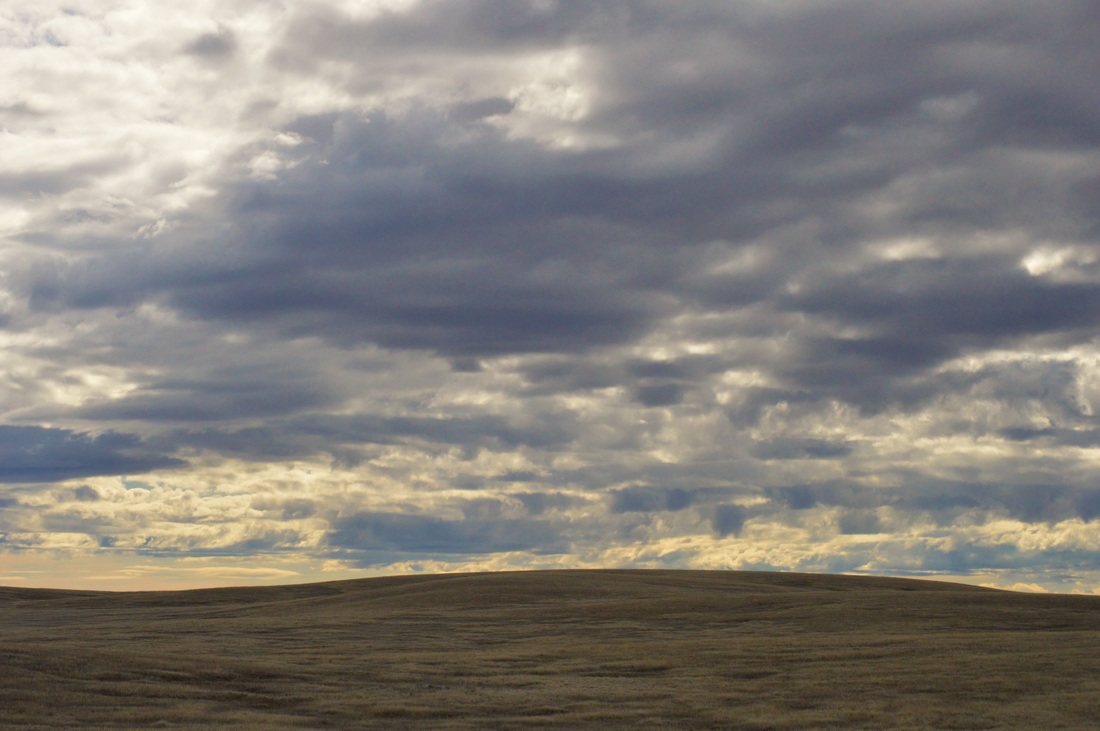 Watery Thoughts of Prairie Past and Present