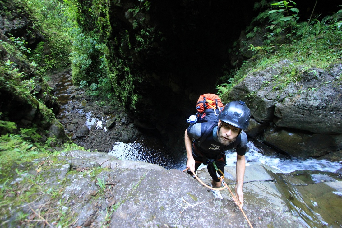 Canyoneers Collect Algae: Exploring Hawaii’s Unknown Ecosystems