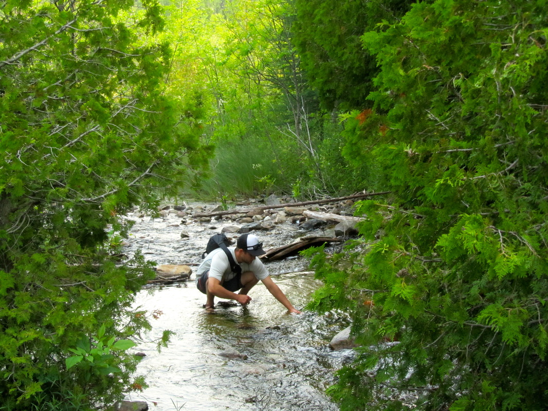 Justin Hesselbart collects a sample in a stream near the outlet of an inland lake on the Bruce Peninsula.