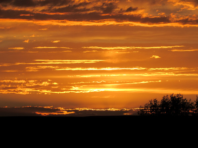 Portrait of a Wide Sky