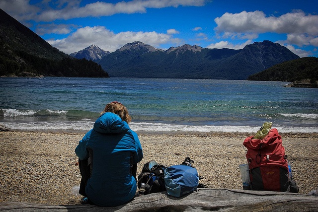 Patagonia Dreams and Wildlands Biodiversity