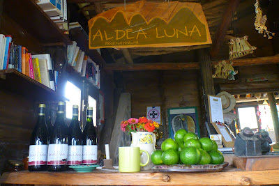 Trekking the Andes  – Peaceful Rejuvenation at Aldea Luna, Northern Argentina