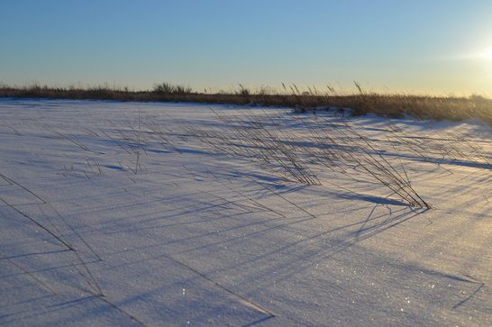 The Subtle Opacity of the Plains