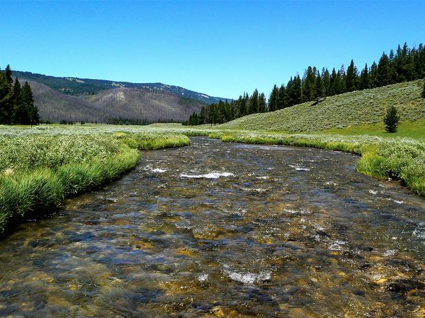 Gallatin River