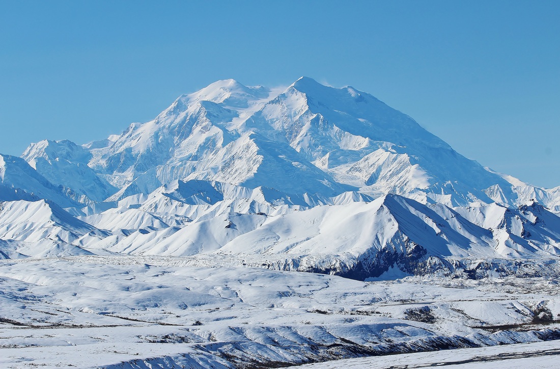 Mountains, Wildlife and Waters: 5 Images of Denali National Park