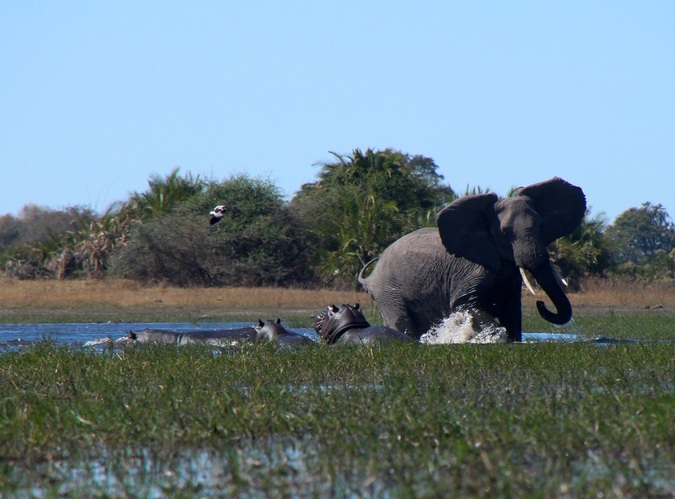 #Okavango14: Poling Back in Time