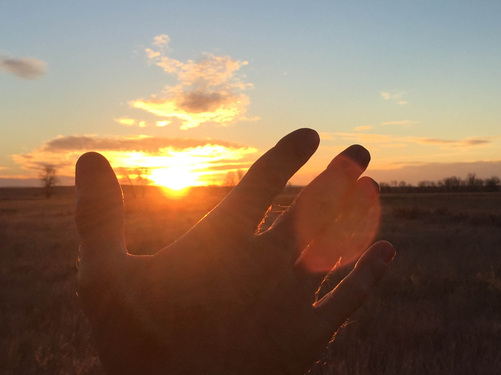 Grappling with the Wild on Sun Prairie