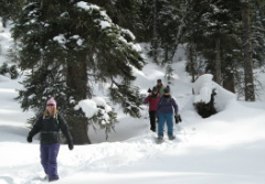 citizen science outing, citizen science volunteers, wildlife tracking