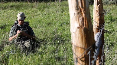 Hiking in Yellowstone Science