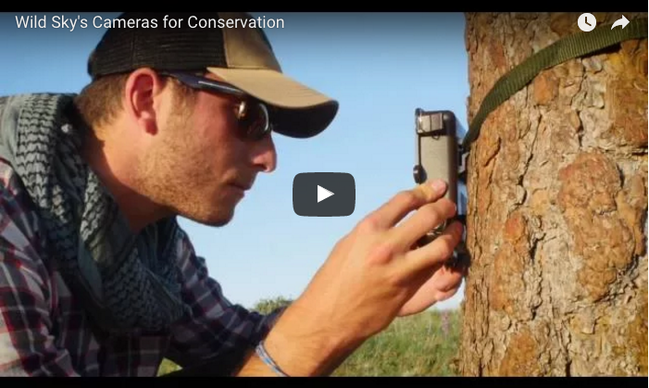 Landmark Crews Help﻿ Encourage Wildlife-Friendly Ranching