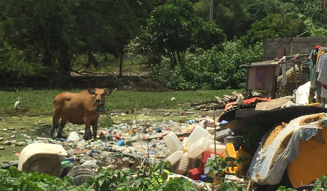 Earth Day 2018: Focus on Plastic Pollution