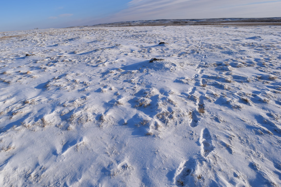 ﻿ An Ode to the Prairie