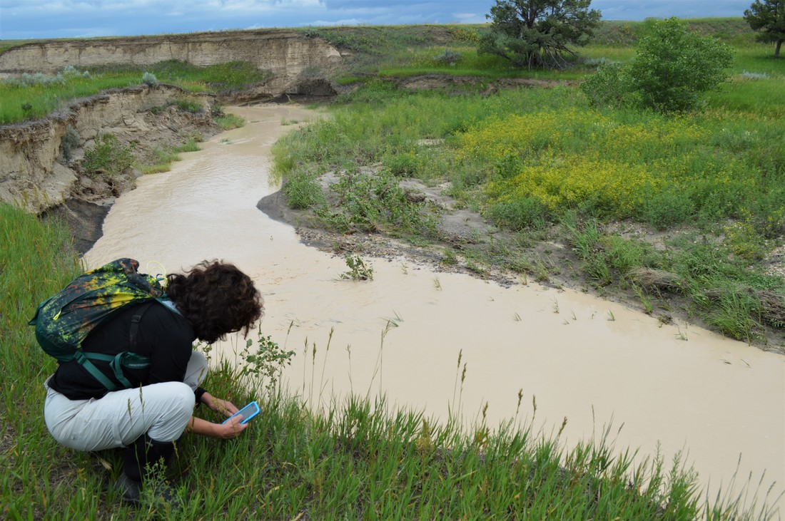 Searching for the Butterflies of the Badlands