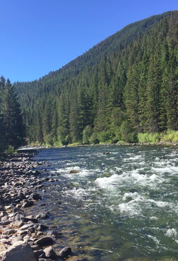 Gallatin River