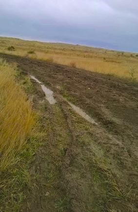 Prairie gumbo mud