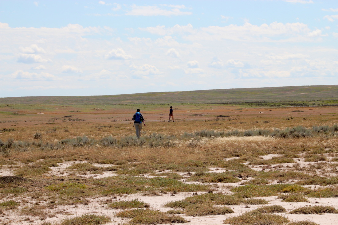 Josi & Tina walking