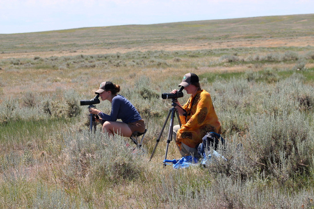 Josie & Tina scoping 