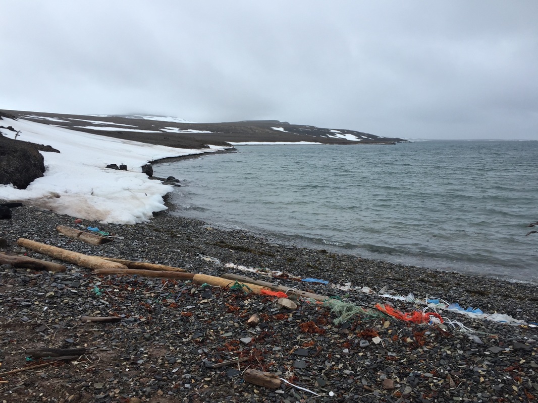 Sørvika marine trash