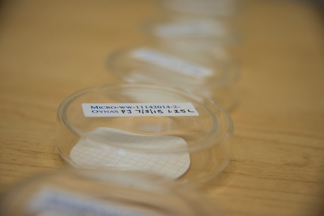 filtered-samples-awaiting-counting-arc-3_orig