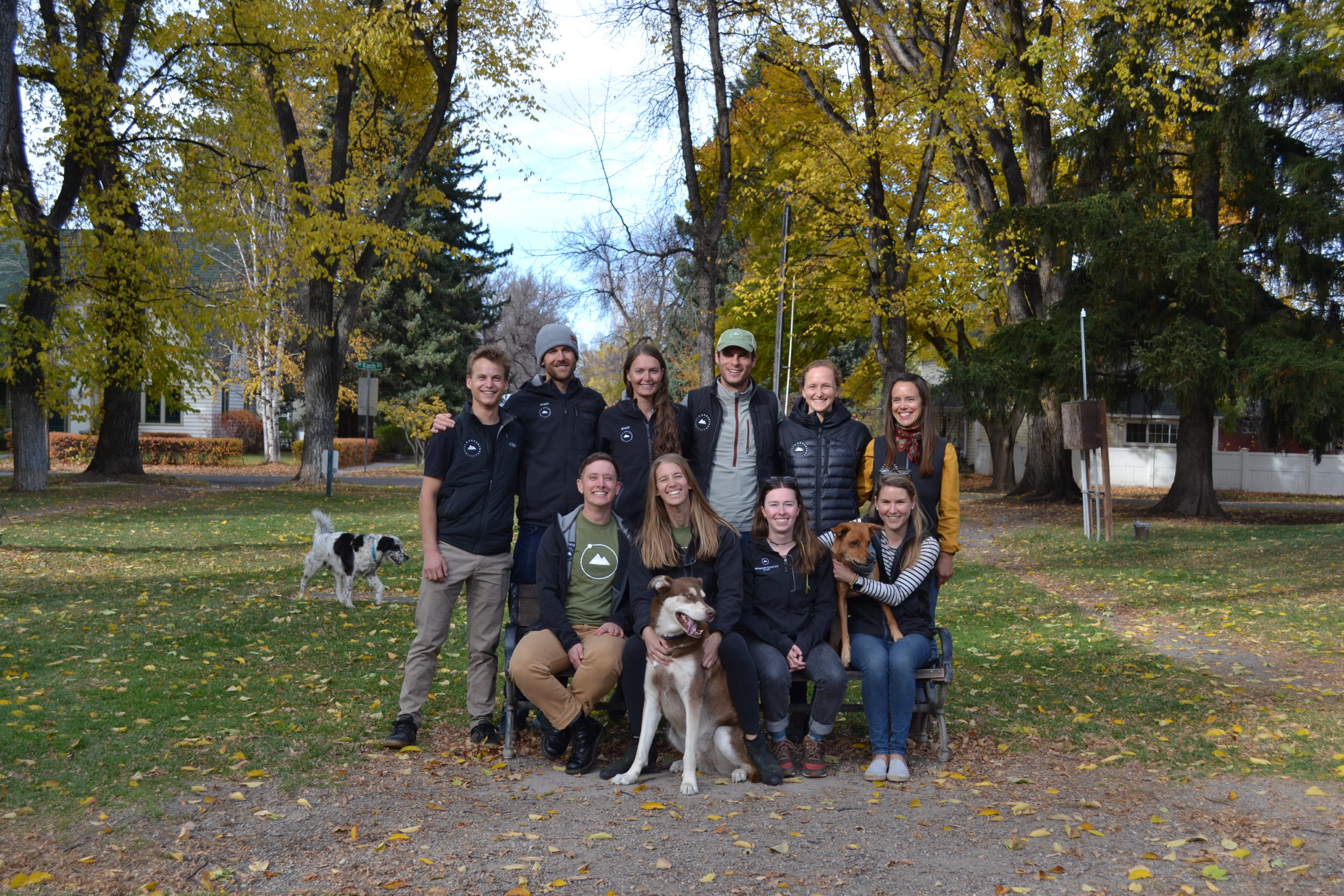 Fall Team Photo adventure scientists team, fall, dogs