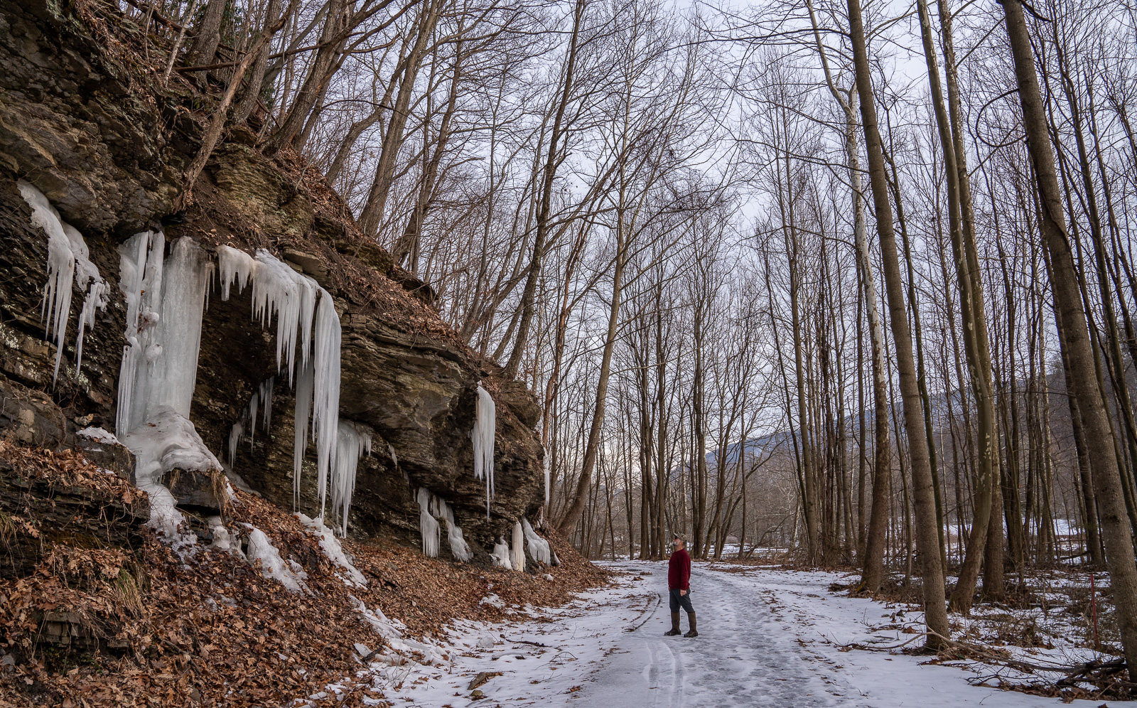 A man on an snow and ice covered trail looks up at bare tree branches and a small cliff face covered with icicles