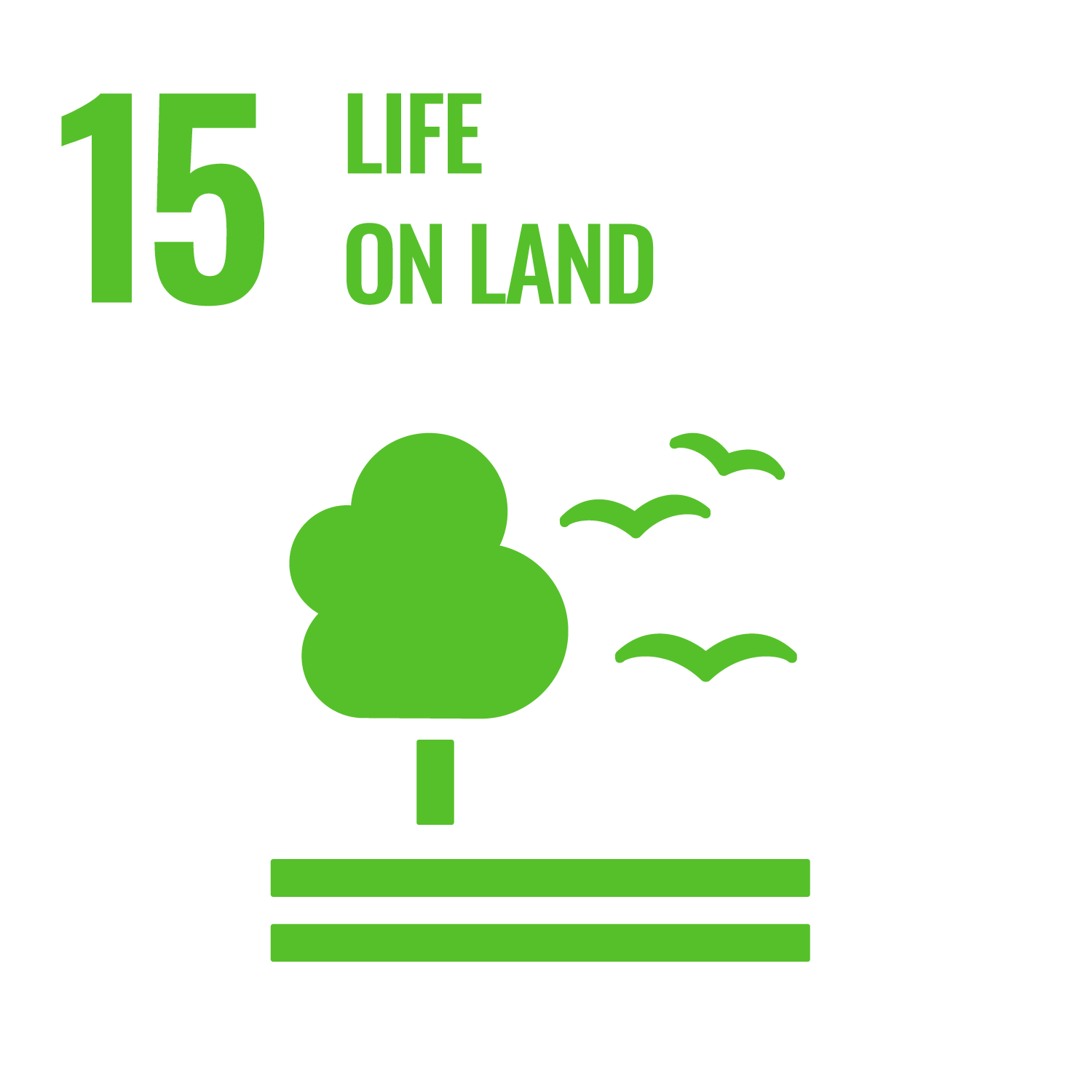 bright green tree and birds represent goal 15: Life on Land
