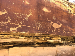 a red wall adorned with ancient images of an elk herd