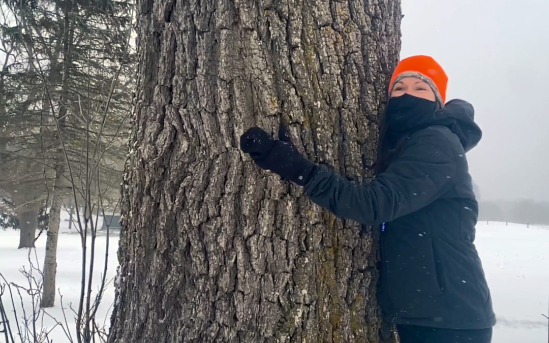 Volunteer Spotlight: Emily Marvel Tracking Timber