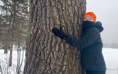 Volunteer Spotlight: Emily Marvel Tracking Timber