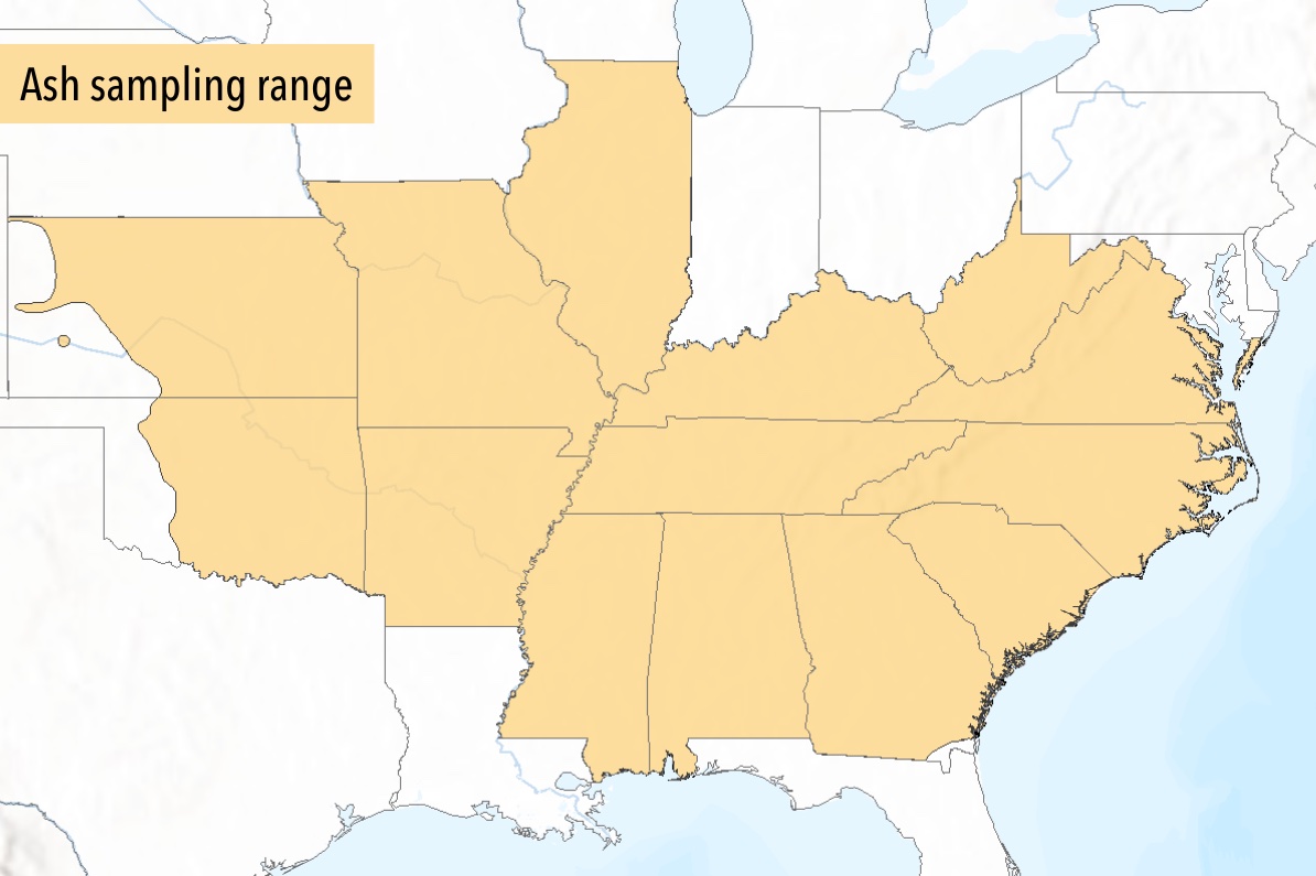 Ash sampling range Map of the eastern US with the sampling range highlighted for Ash species