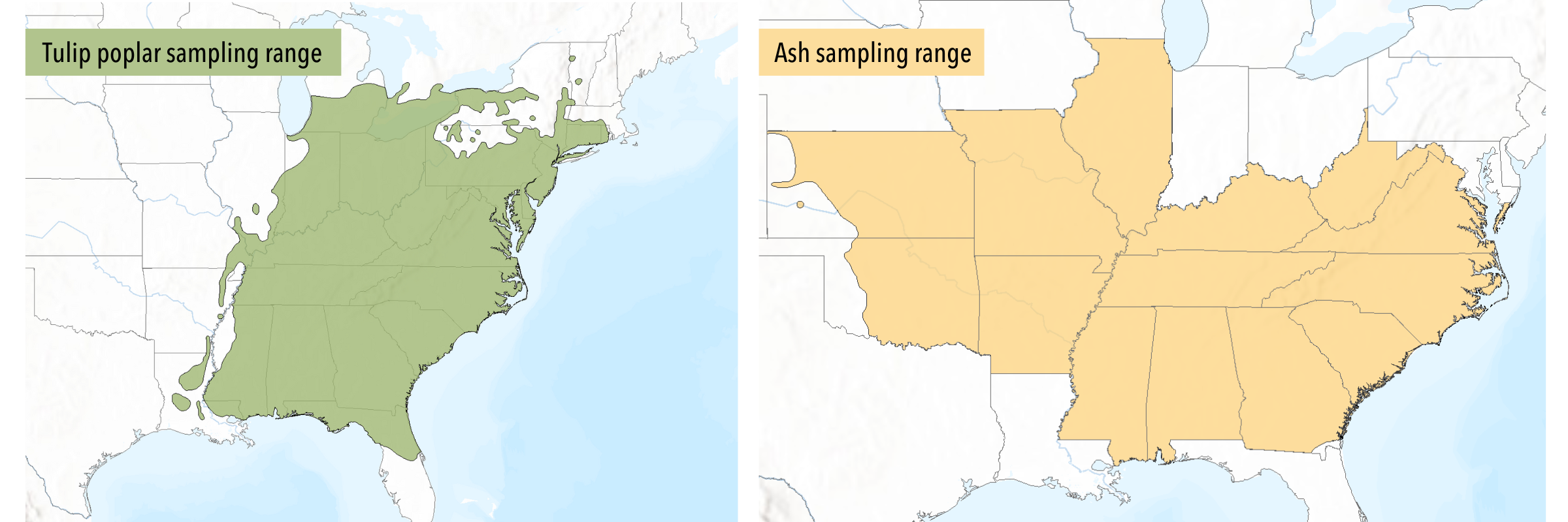 Tulip poplar andAsh Sample ranges side-by-side
