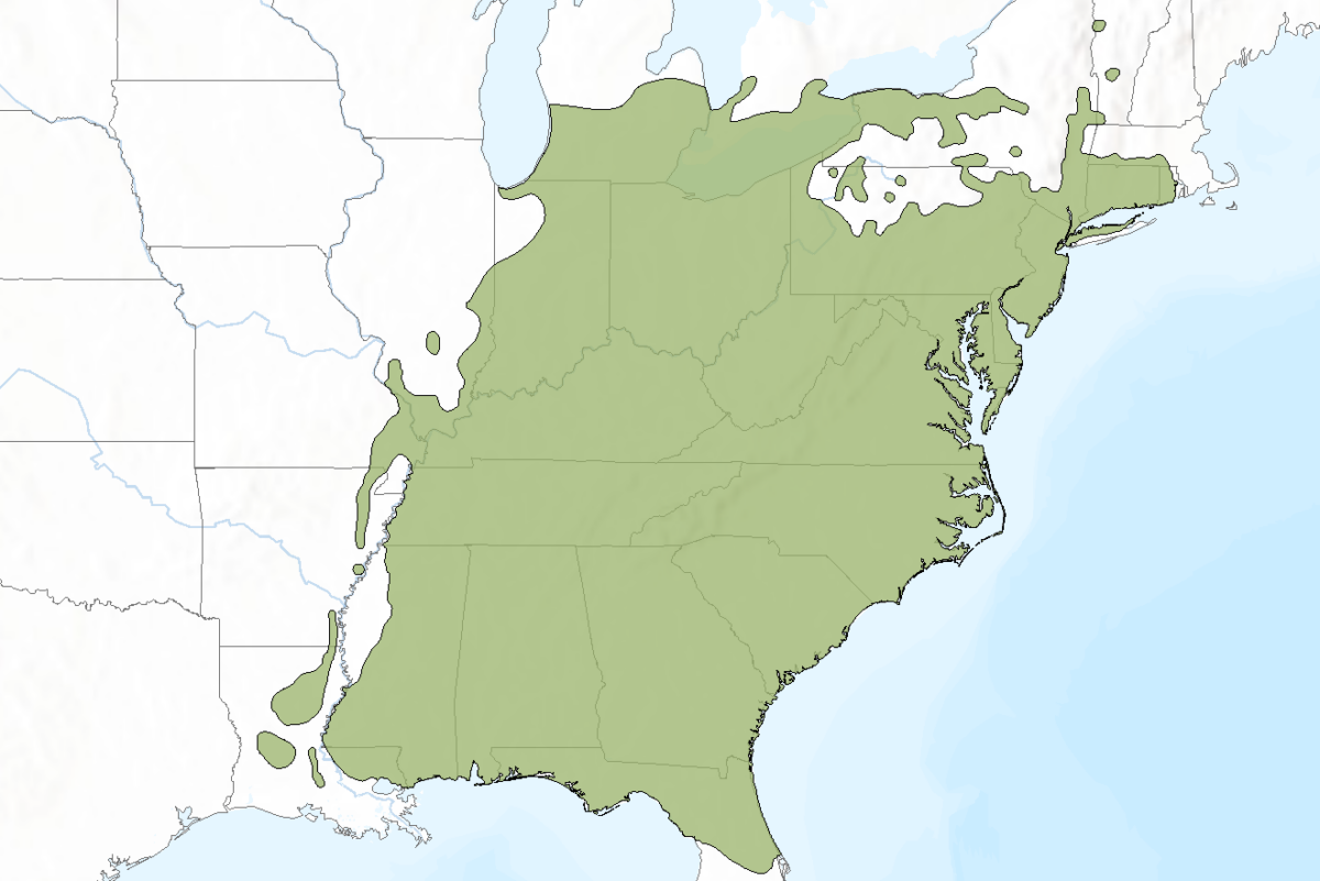 tulip_poplar_sampling_range (1) A map of the eastern united states with the sampling range of tulip poplar overlaid.
