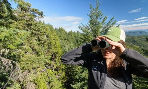 a person looks through binoculars in a forested mountain landscape