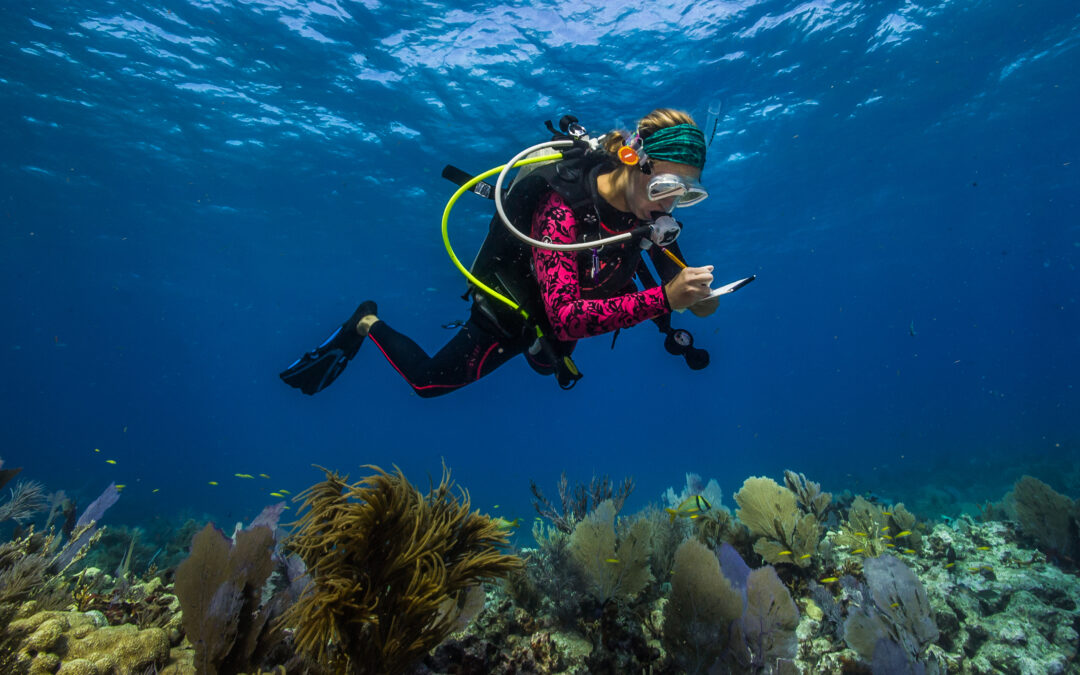 Project Update: Ground Truth Coral Bleaching