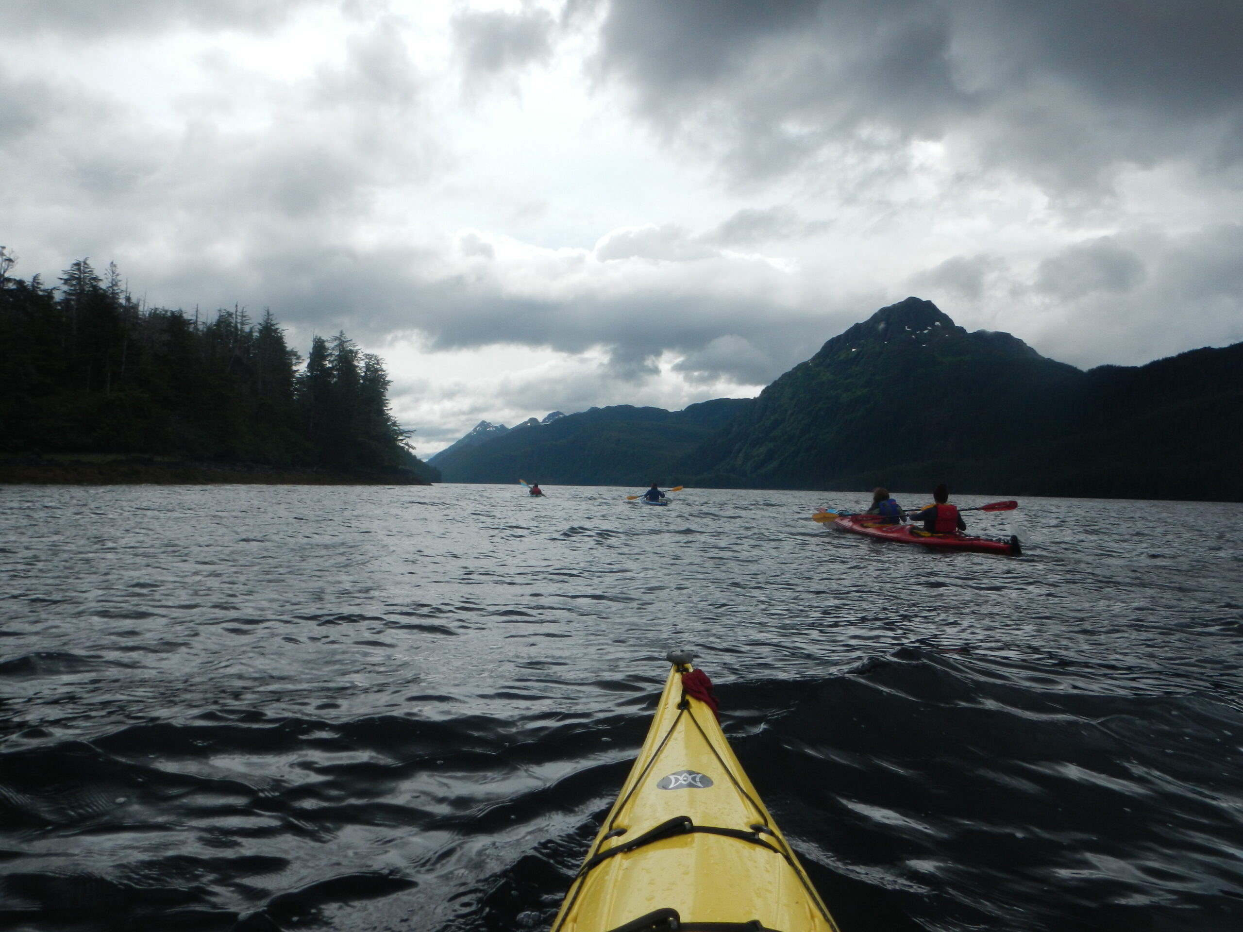 Using a citizen science data collection model, Adventure Scientists volunteer-powered science places ARUs in the field for endangered species monitoring