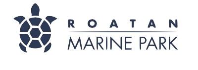 roatan_marine_park roatan marine park